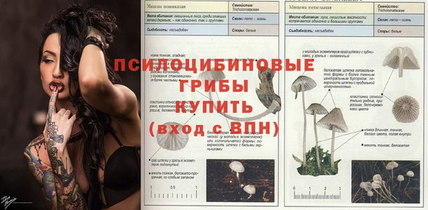 мдпв Армянск